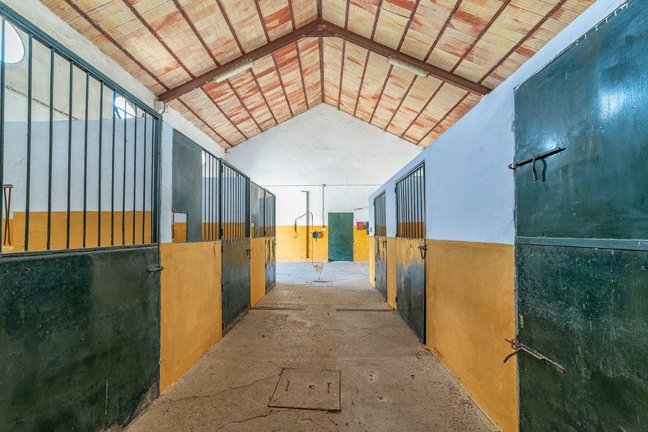 Alterhome Private Villa Cortijo Sierra Y Lago 아르코스델라프론테라 외부 사진